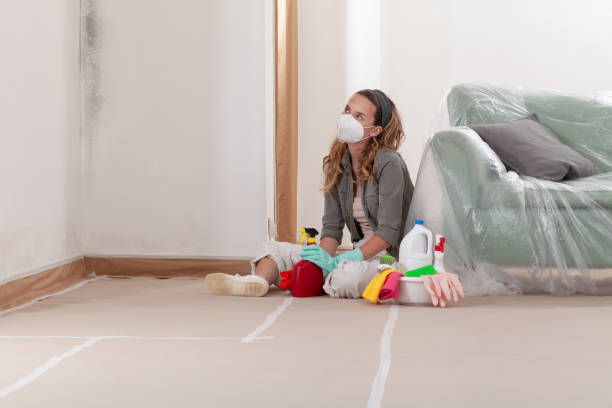 Reliable Mold Remediation contractor in Salem, NJ by WQB Mold Removal